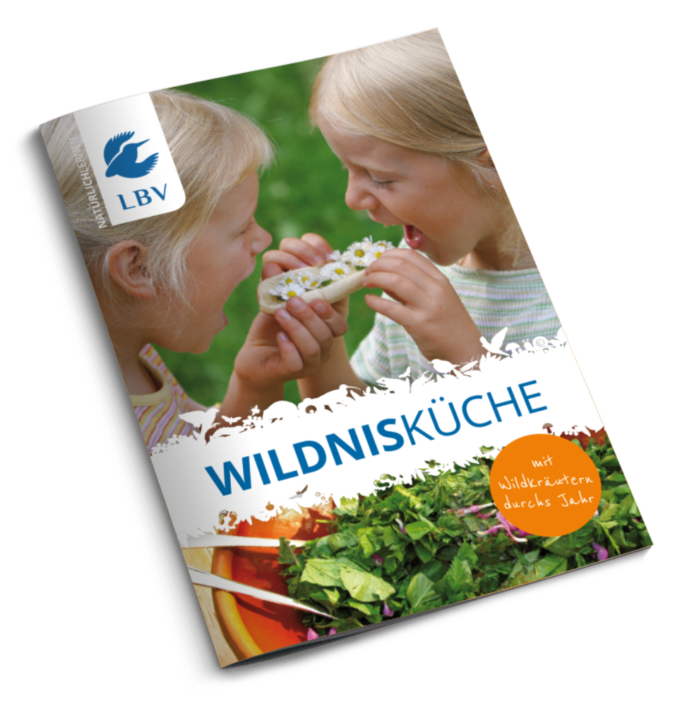 Wildnisküche - Natürlich lernen