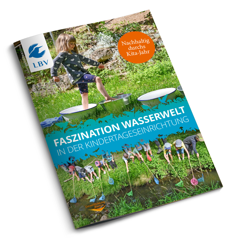 Faszination Wasserwelt