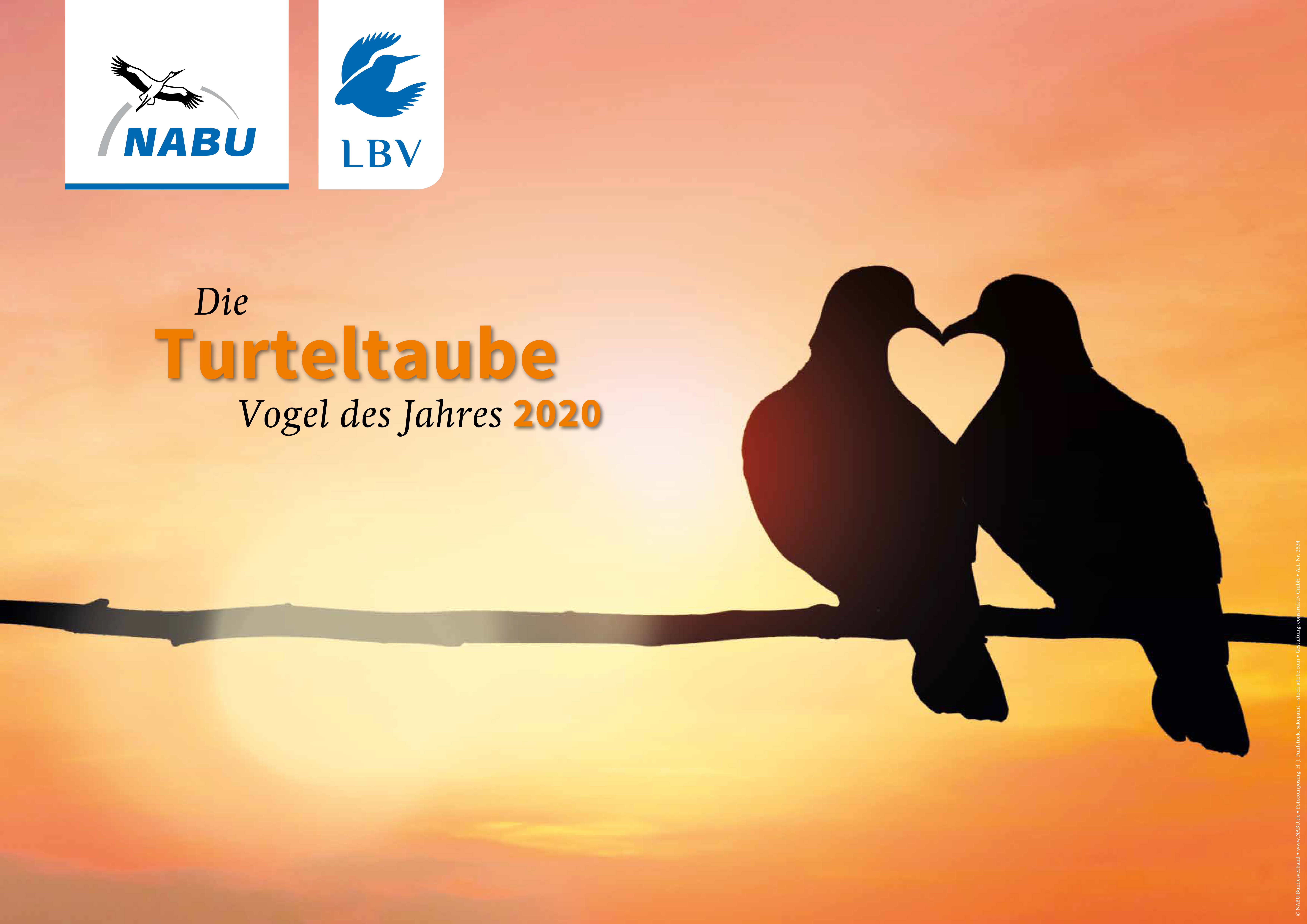 Poster "Turteltaube" DIN A2