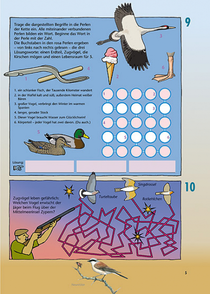 Vogelzug und Zugvögel