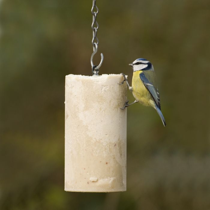 10101003_energiekuchen-original-2_1944