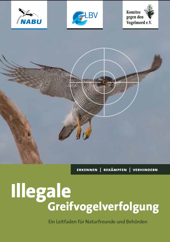 Illegale Greifvogelverfolgung