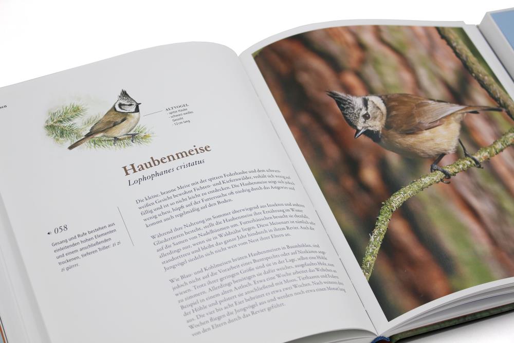 Unsere Vögel und ihre Stimmen