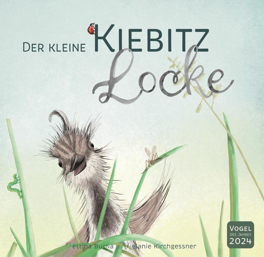 Der kleine Kiebitz Locke