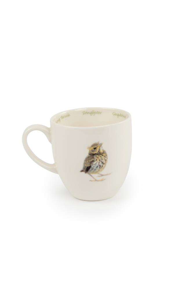 Tasse Singdrossel