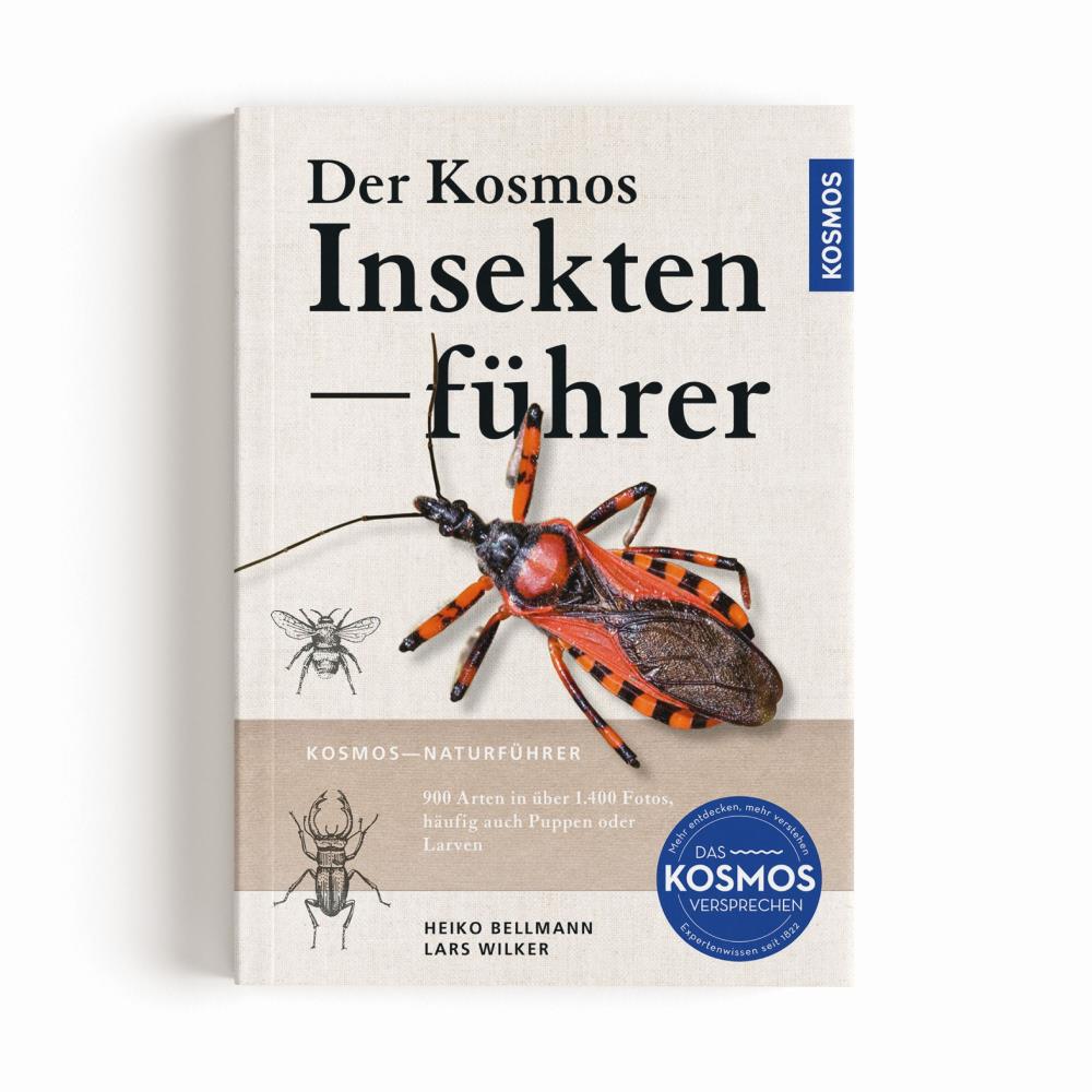 Der Kosmos Insektenführer