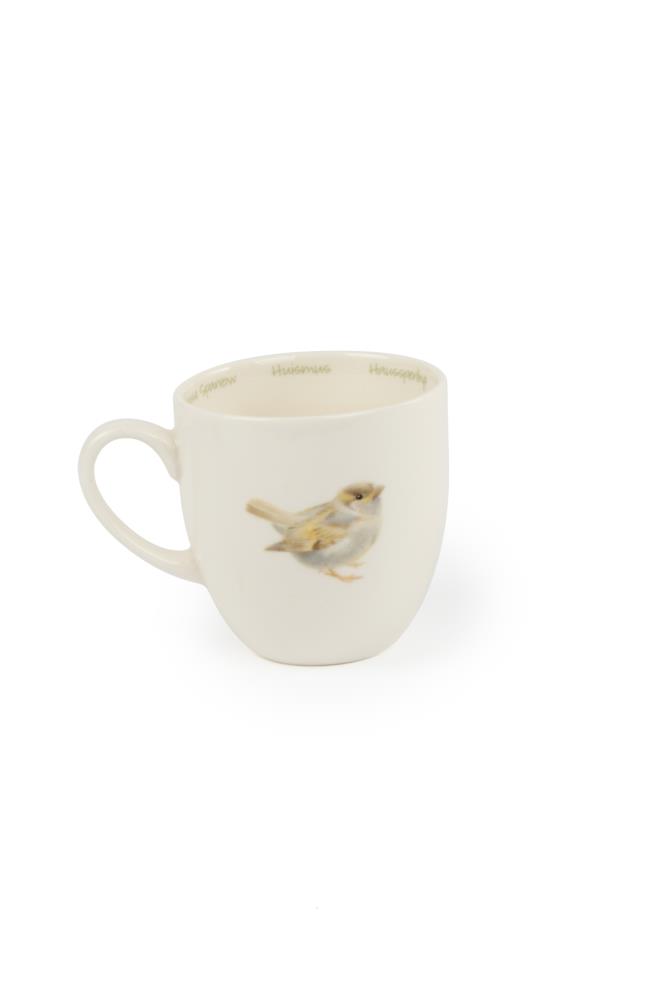Tasse Haussperling