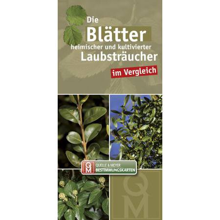 Die Blätter heimischer und kultivierter Laubsträucher