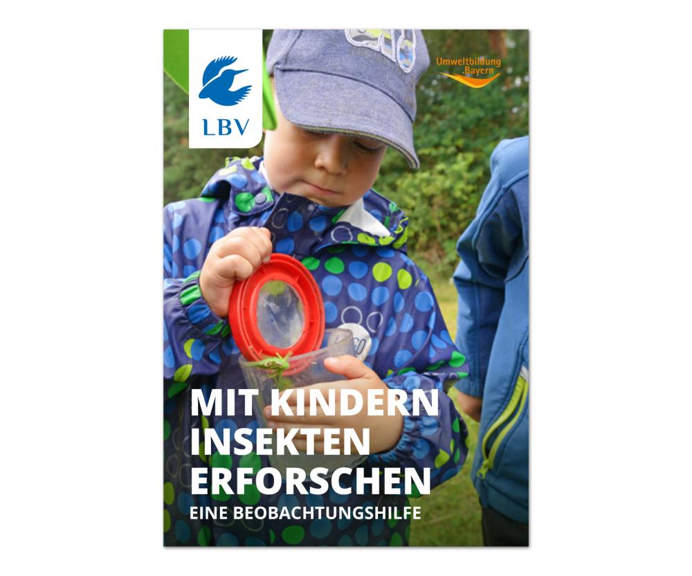 Mit Kindern Insekten erforschen