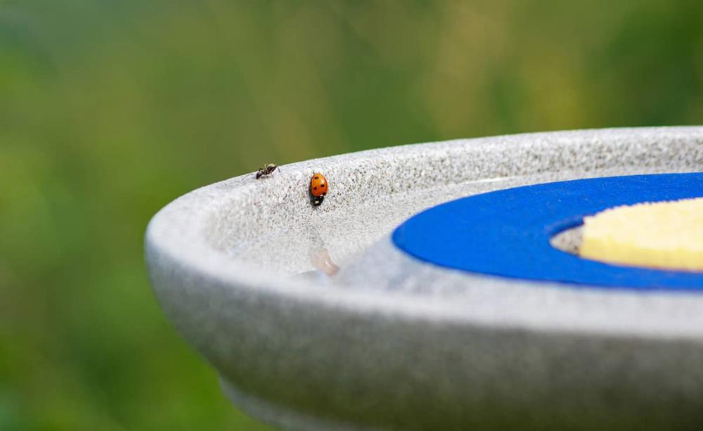Ständer für die Insektenstation