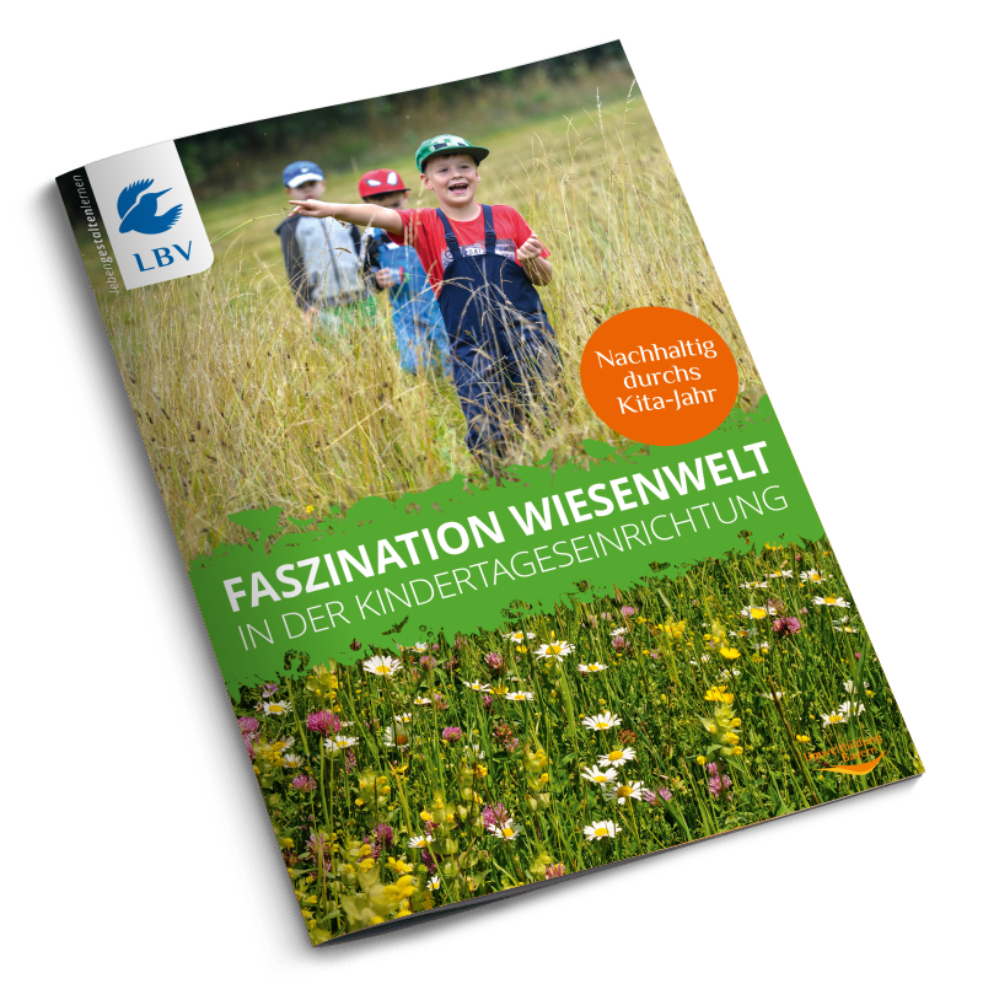 Faszination Wiesenwelt