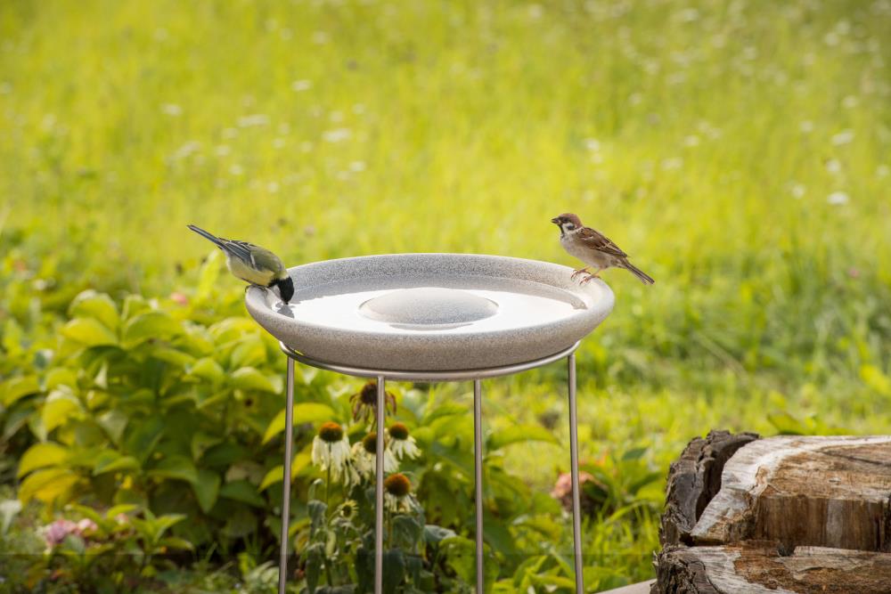 Vogeltränke Granicium® mit Ständer