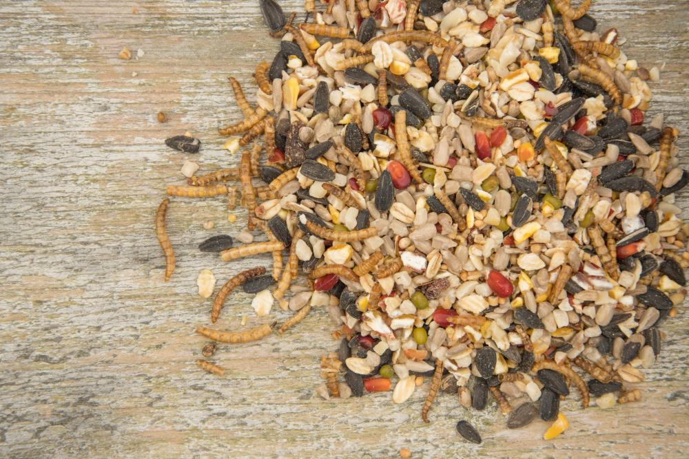 vitality-mix-12145-AH-0929_1609