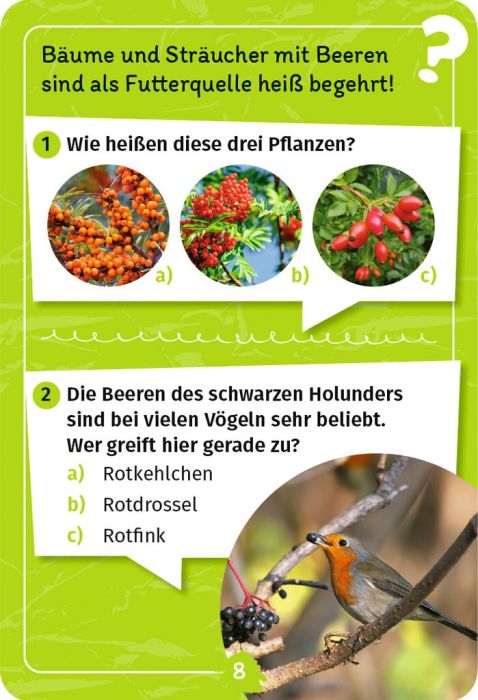 Mein Vogel-Forscherquiz