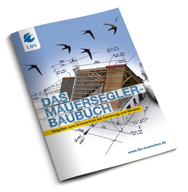 Das Mauersegler-Baubuch
