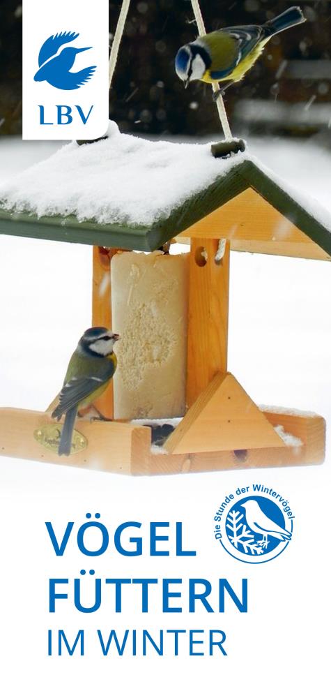 Vögel füttern im Winter - 50 Stück
