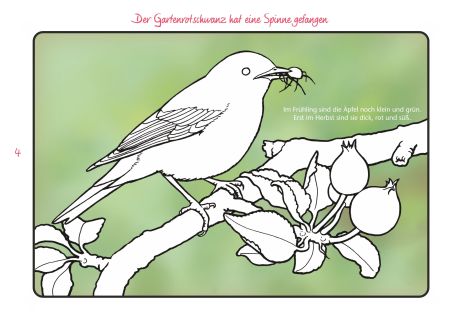 Malbuch Gartenvögel