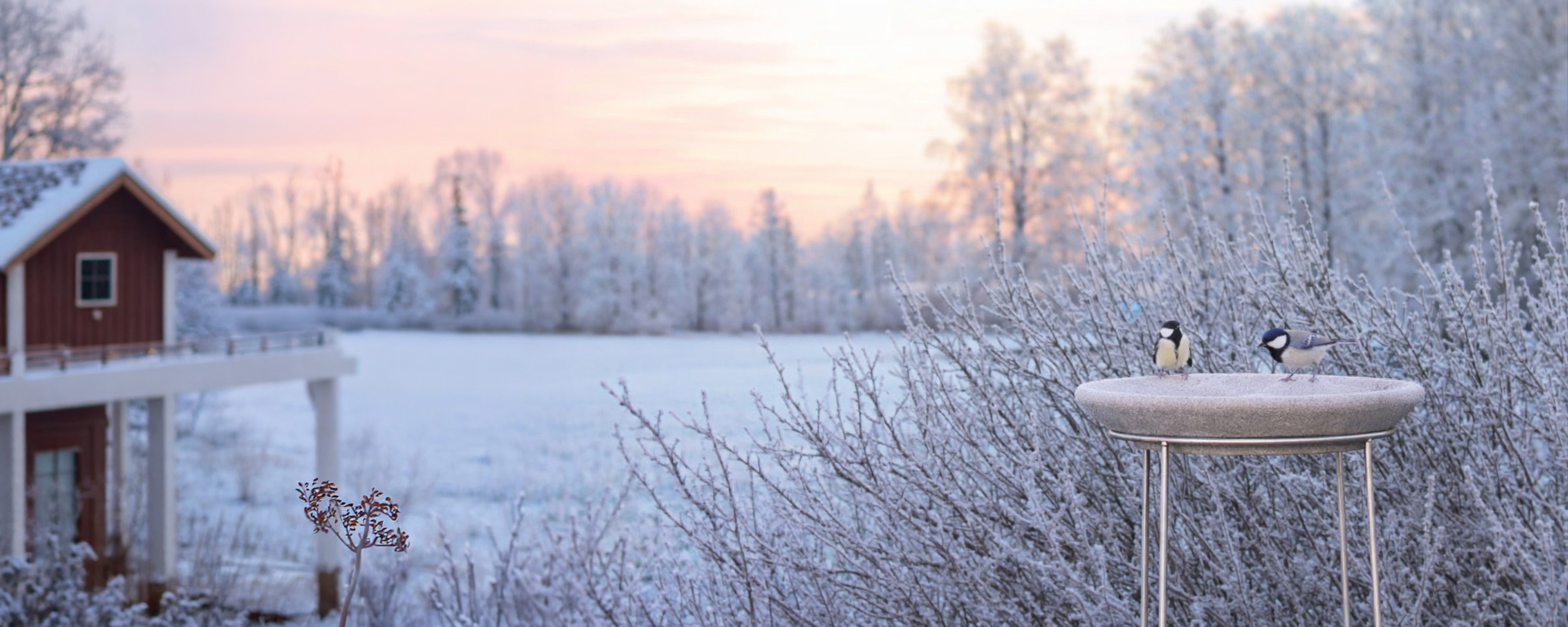 Slider3-haus-und-garten