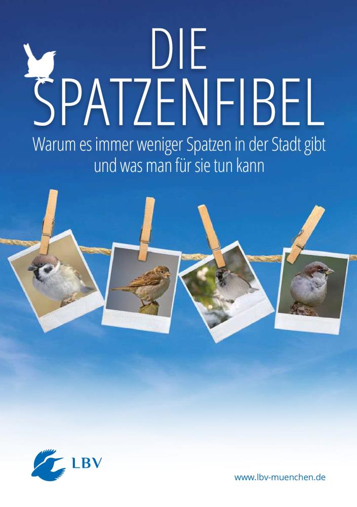 Die Spatzenfibel
