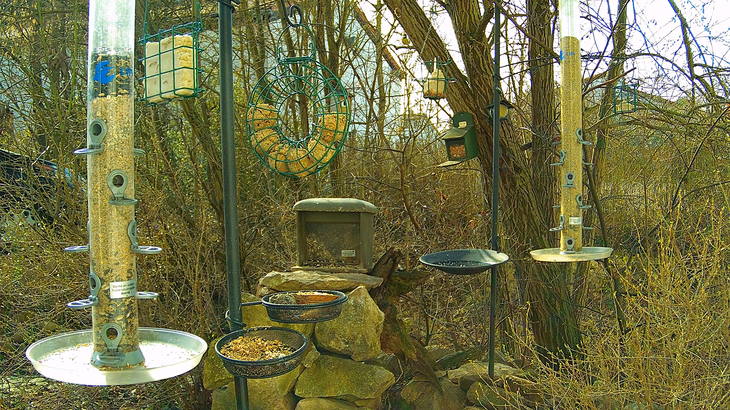 Bildschirmfoto 2026-03-03 um 13.19.02