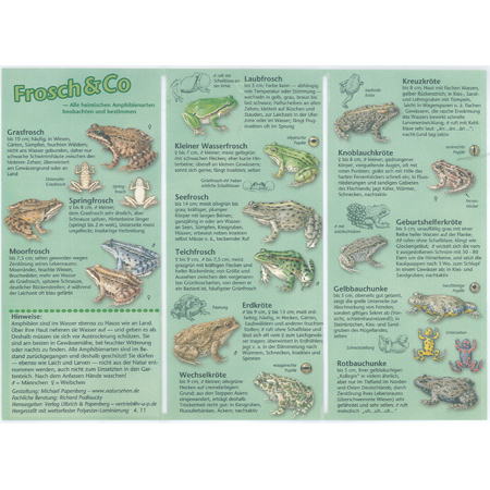 Frosch & Co
