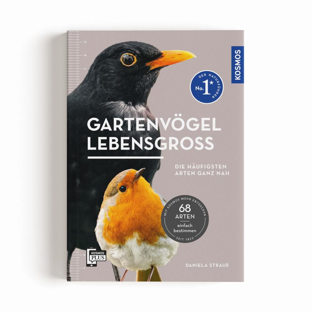 Gartenvögel lebensgroß