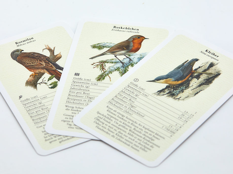 Vogelquartett „Fliegende Edelsteine“