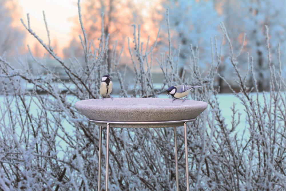 Vogeltränke Granicium® mit Ständer
