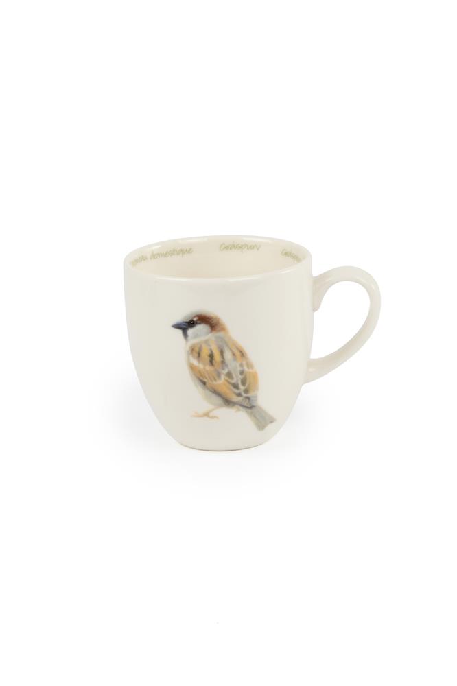 Tasse Haussperling
