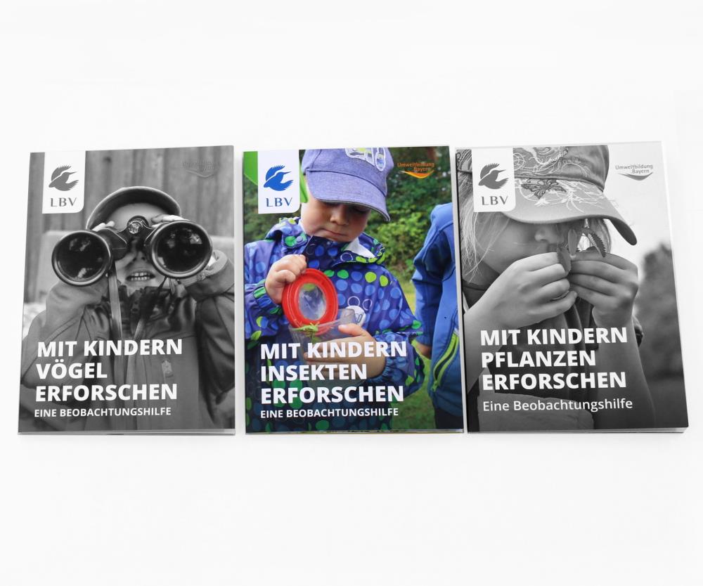 Mit Kindern Insekten erforschen