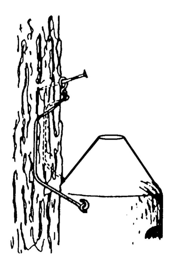 Fledermaushöhle 2F universell