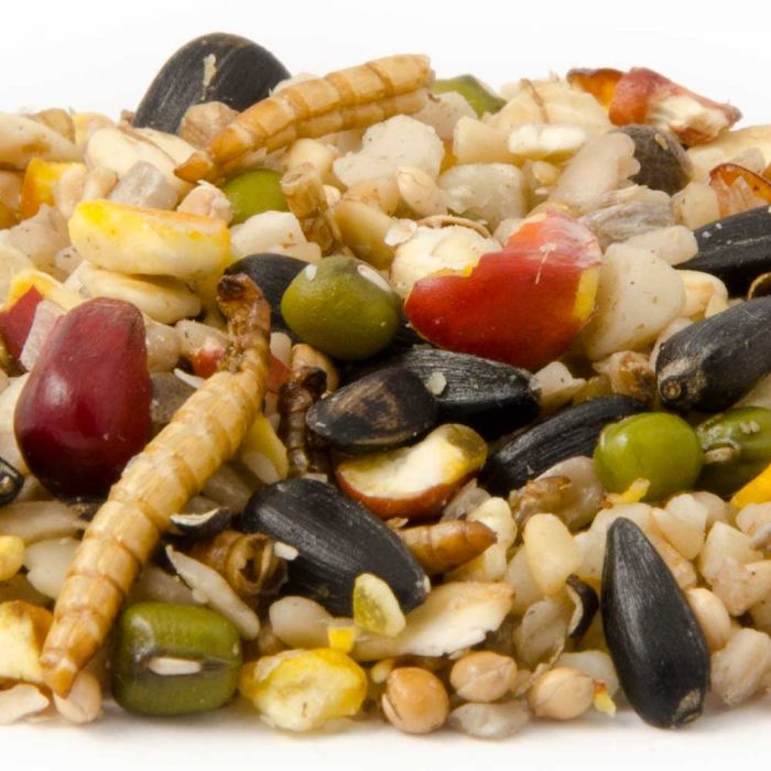 Premium Vitalmix_1_1608