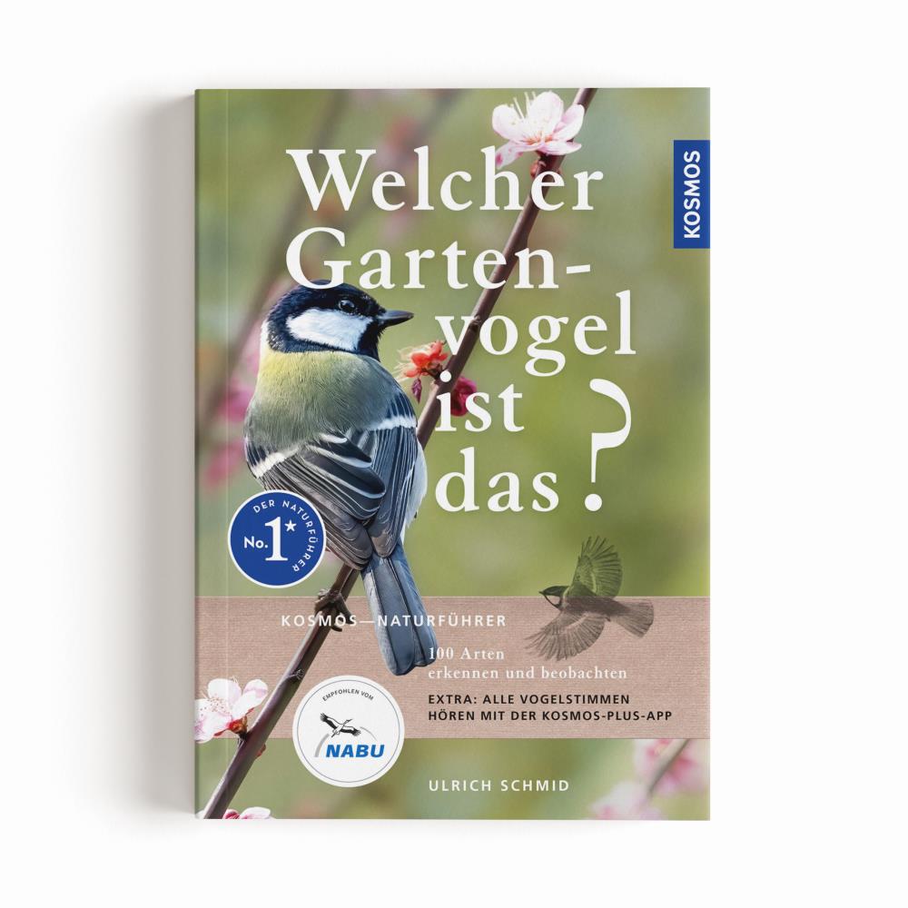 Welcher Gartenvogel ist das?