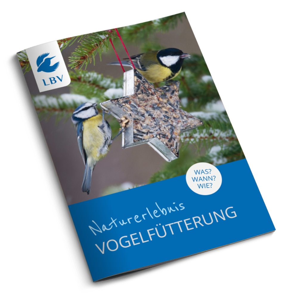 Naturerlebnis Vogelfütterung