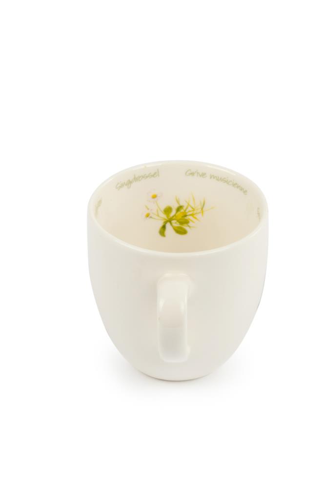Tasse Singdrossel