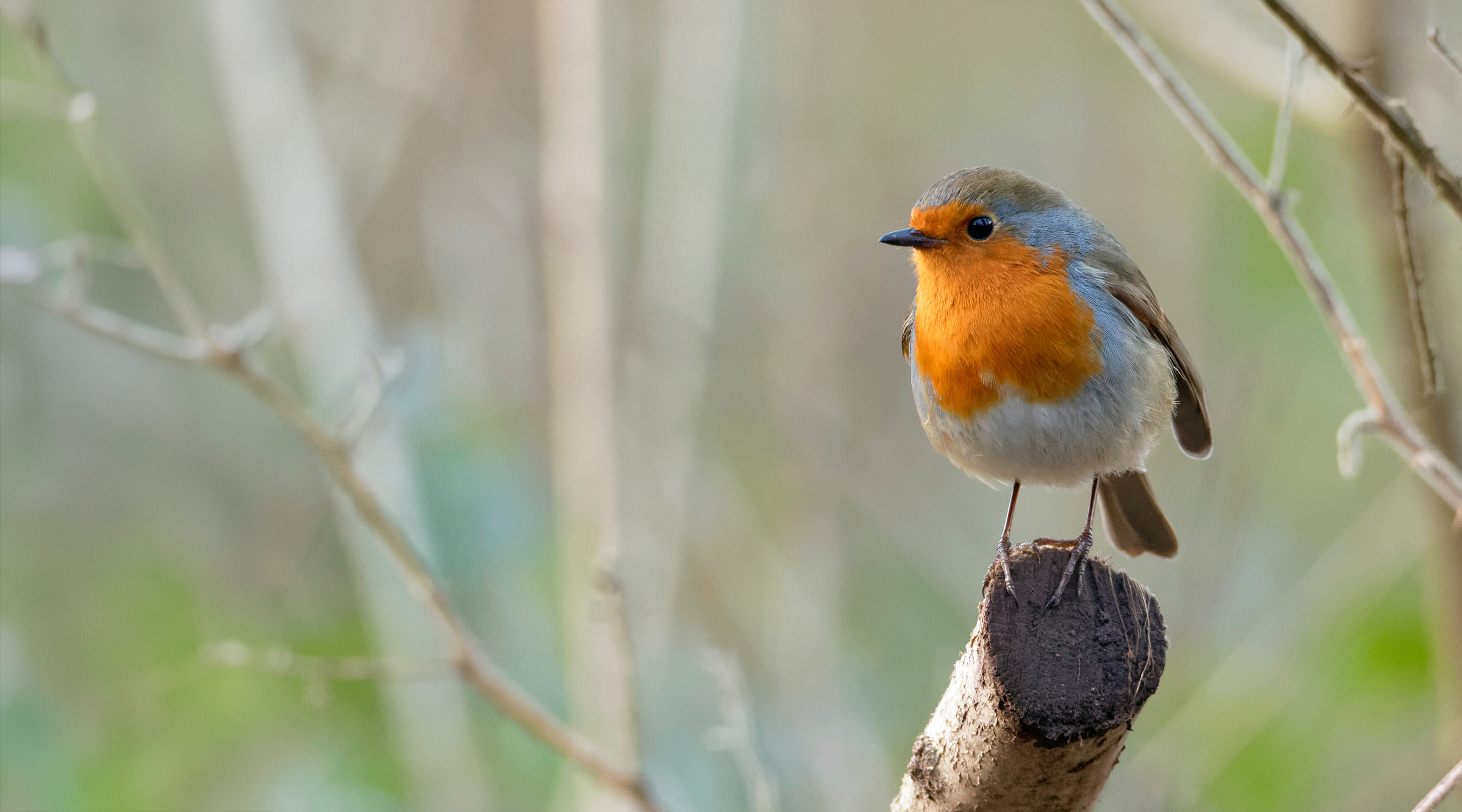 Slider1-2700x1500px.png
