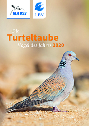 Turteltaube "Vogel des Jahres 2020"