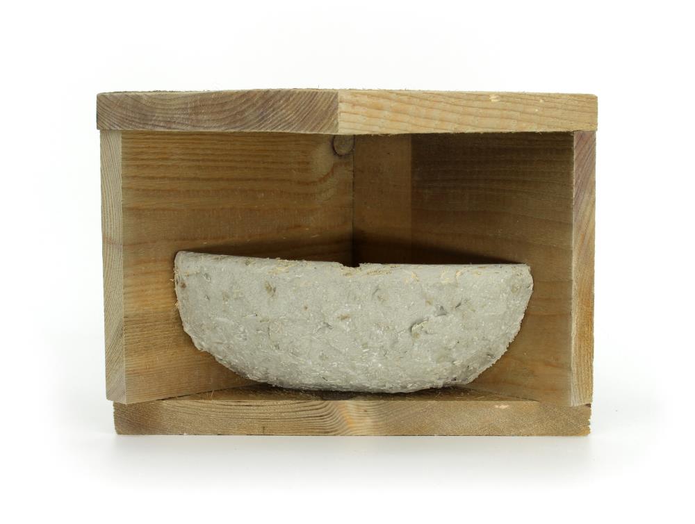 Rauchschwalbenwinkel mit Nest