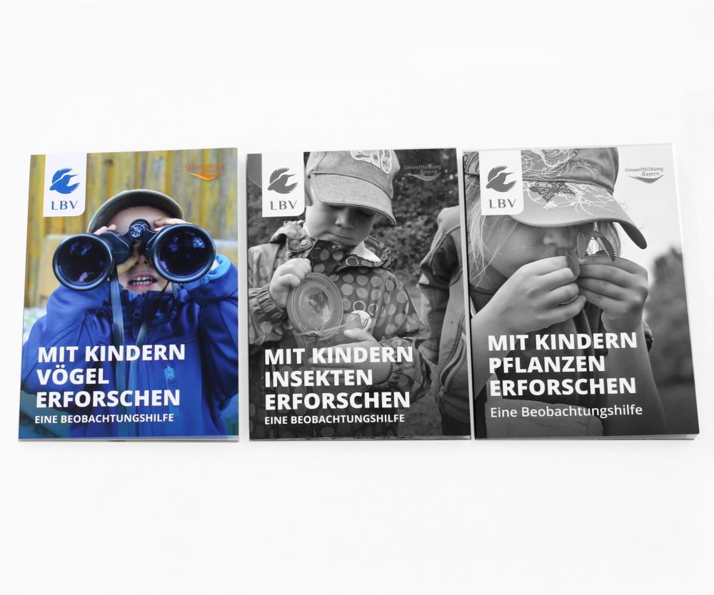 Mit Kindern Vögel erforschen