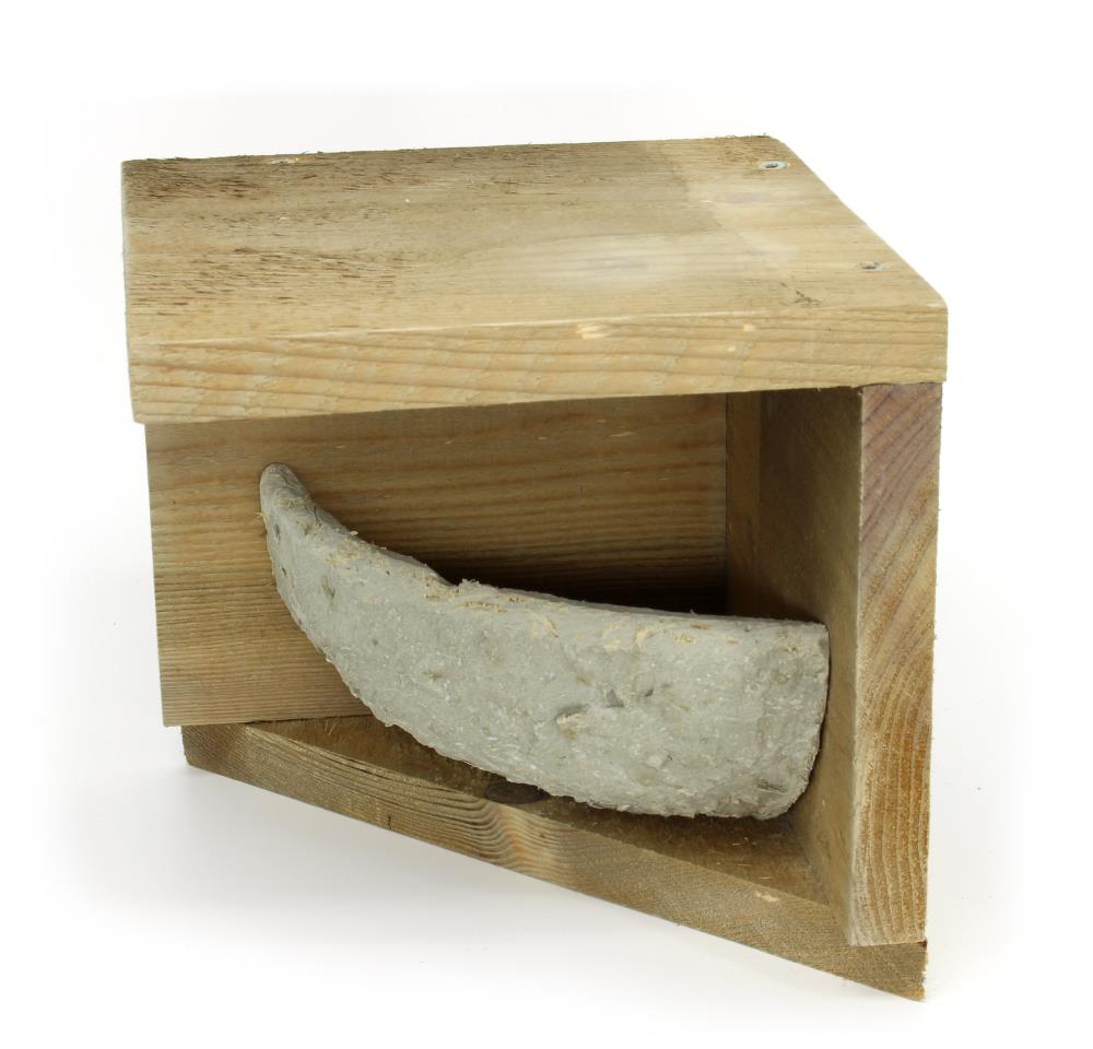 Rauchschwalbenwinkel mit Nest