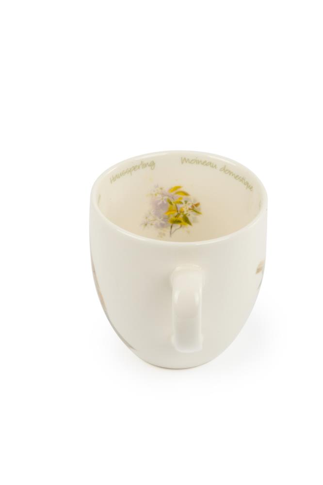 Tasse Haussperling