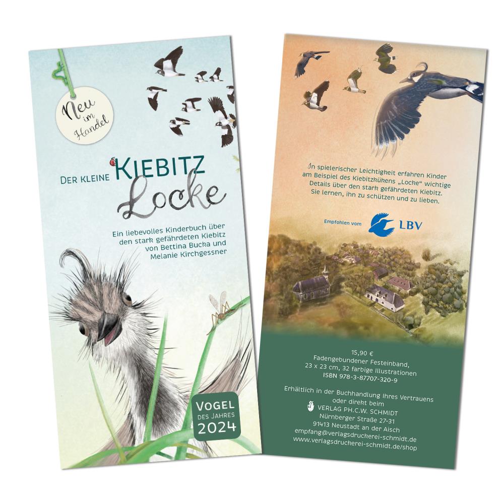 Der kleine Kiebitz Locke