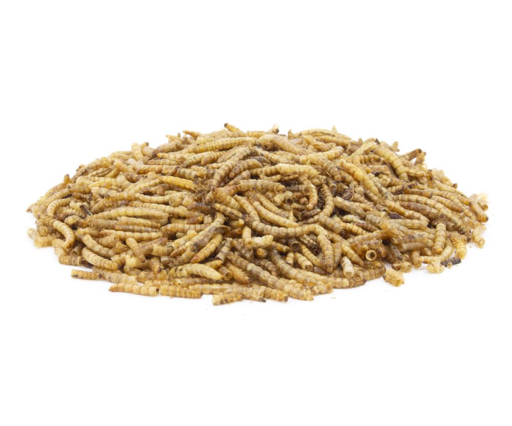 Getrocknete Mehlwürmer 1 kg