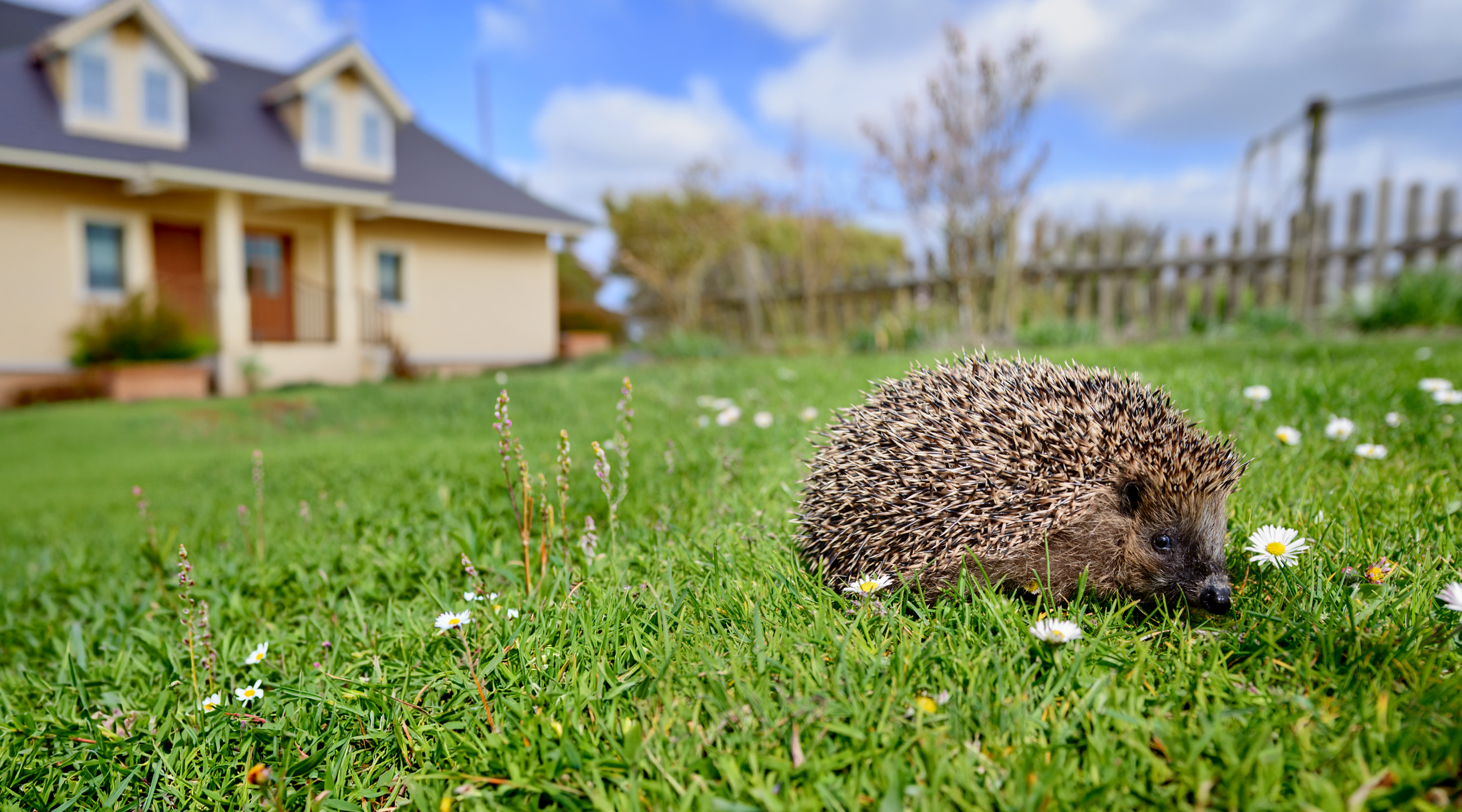 Slider2-2700x1500px