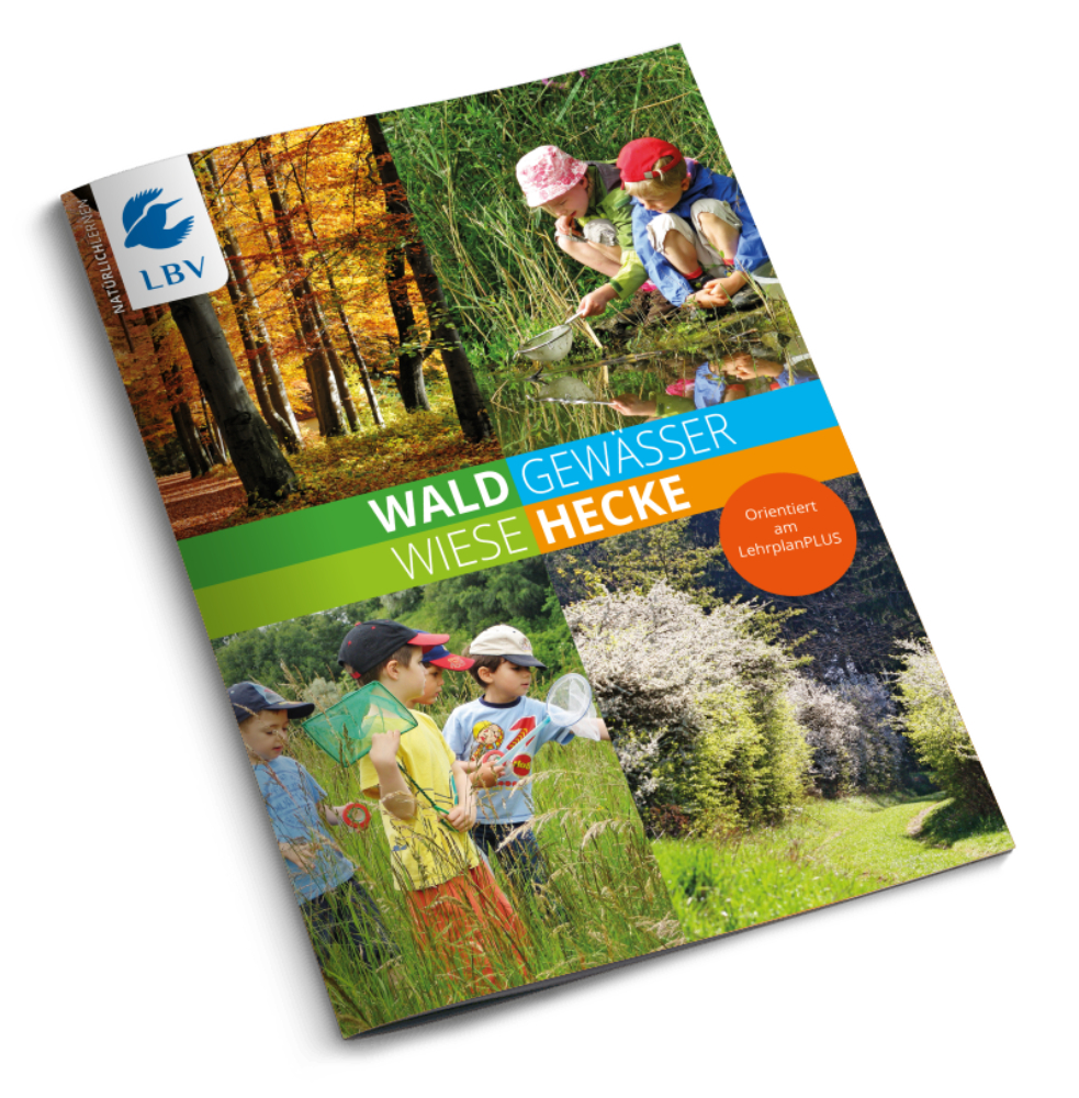 Wald, Gewässer, Wiese, Hecke - Natürlich lernen