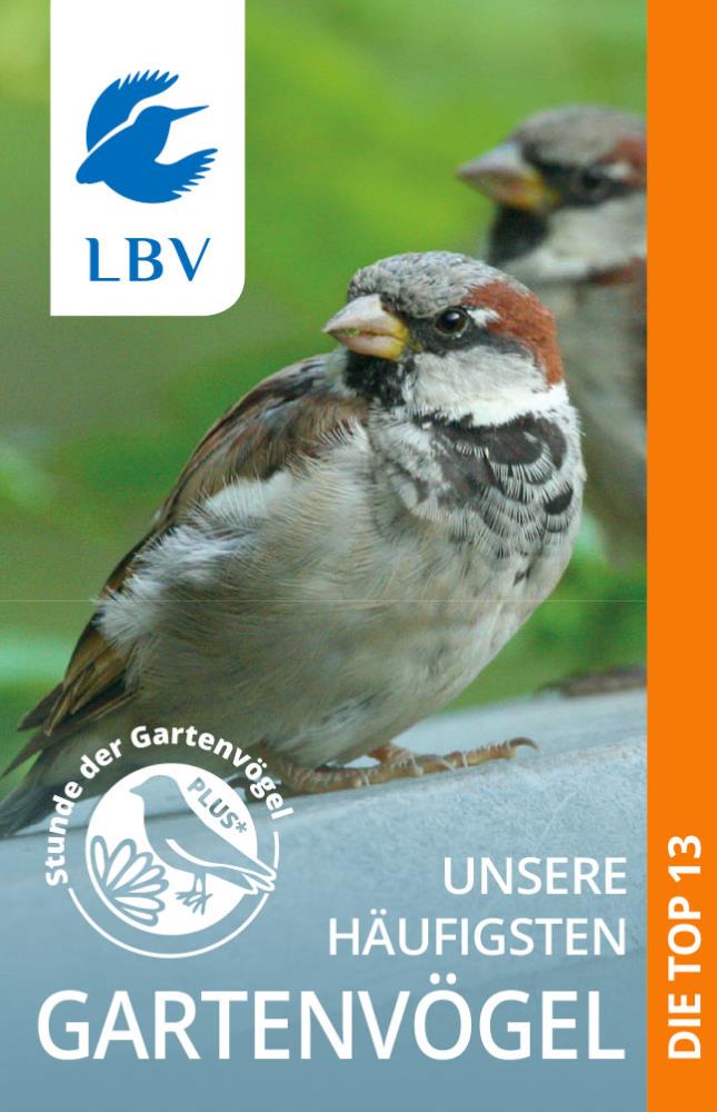 Leporello "Gartenvögel" - 50 Stück