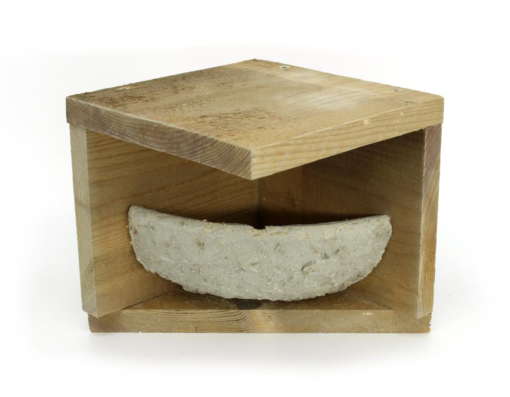 Rauchschwalbenwinkel mit Nest