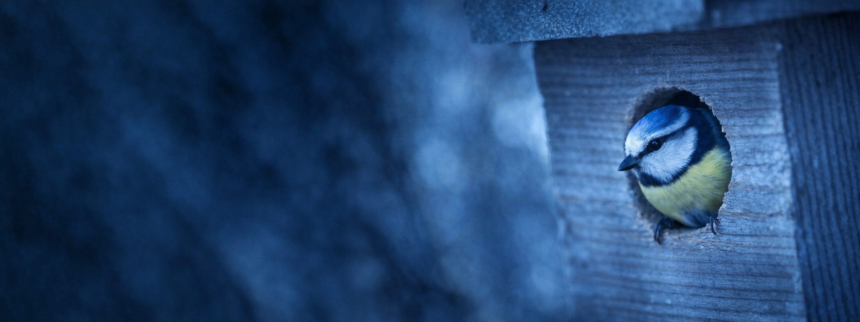 headertest