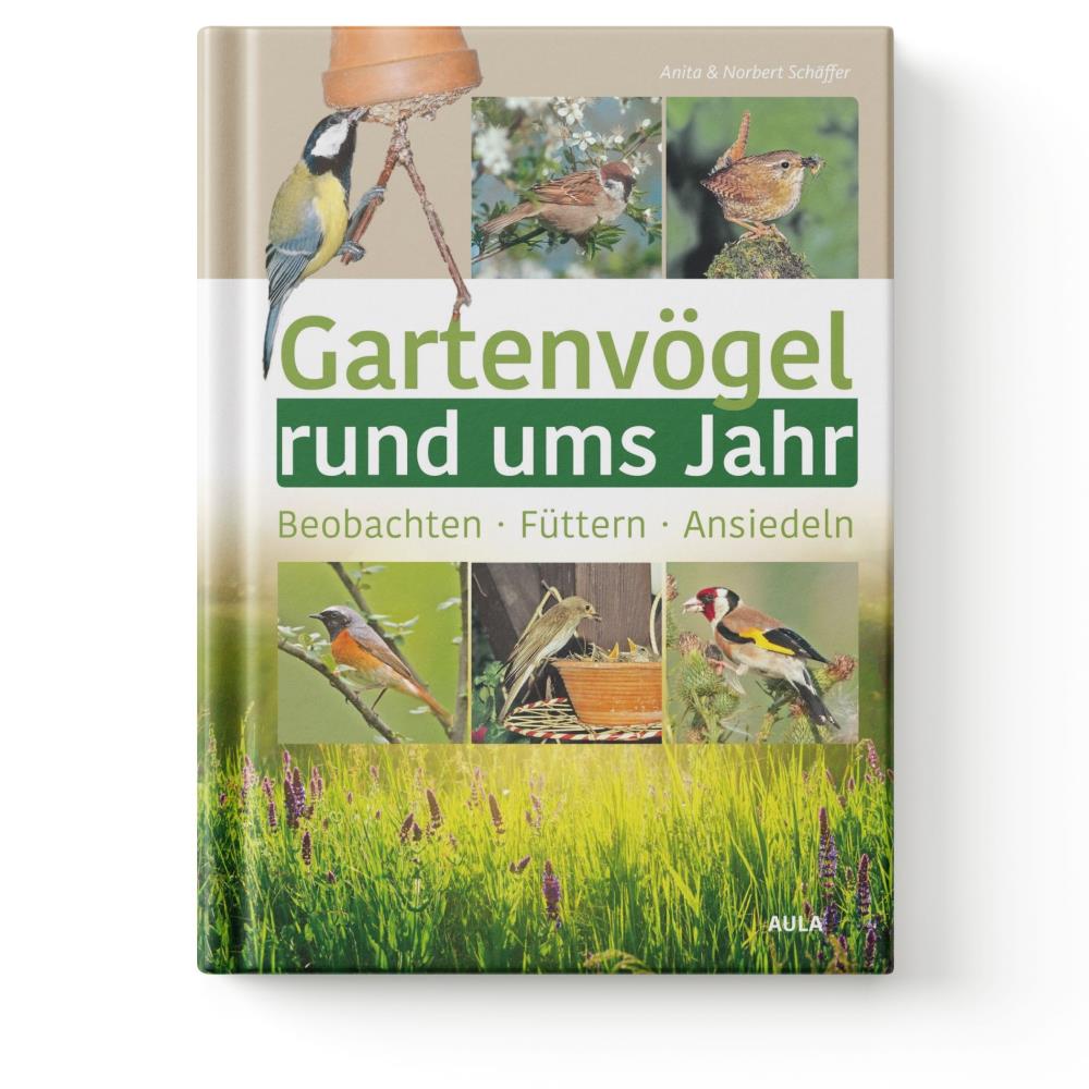 Gartenvögel rund ums Jahr