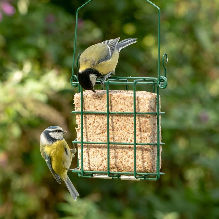 Futterblock_alle_1379